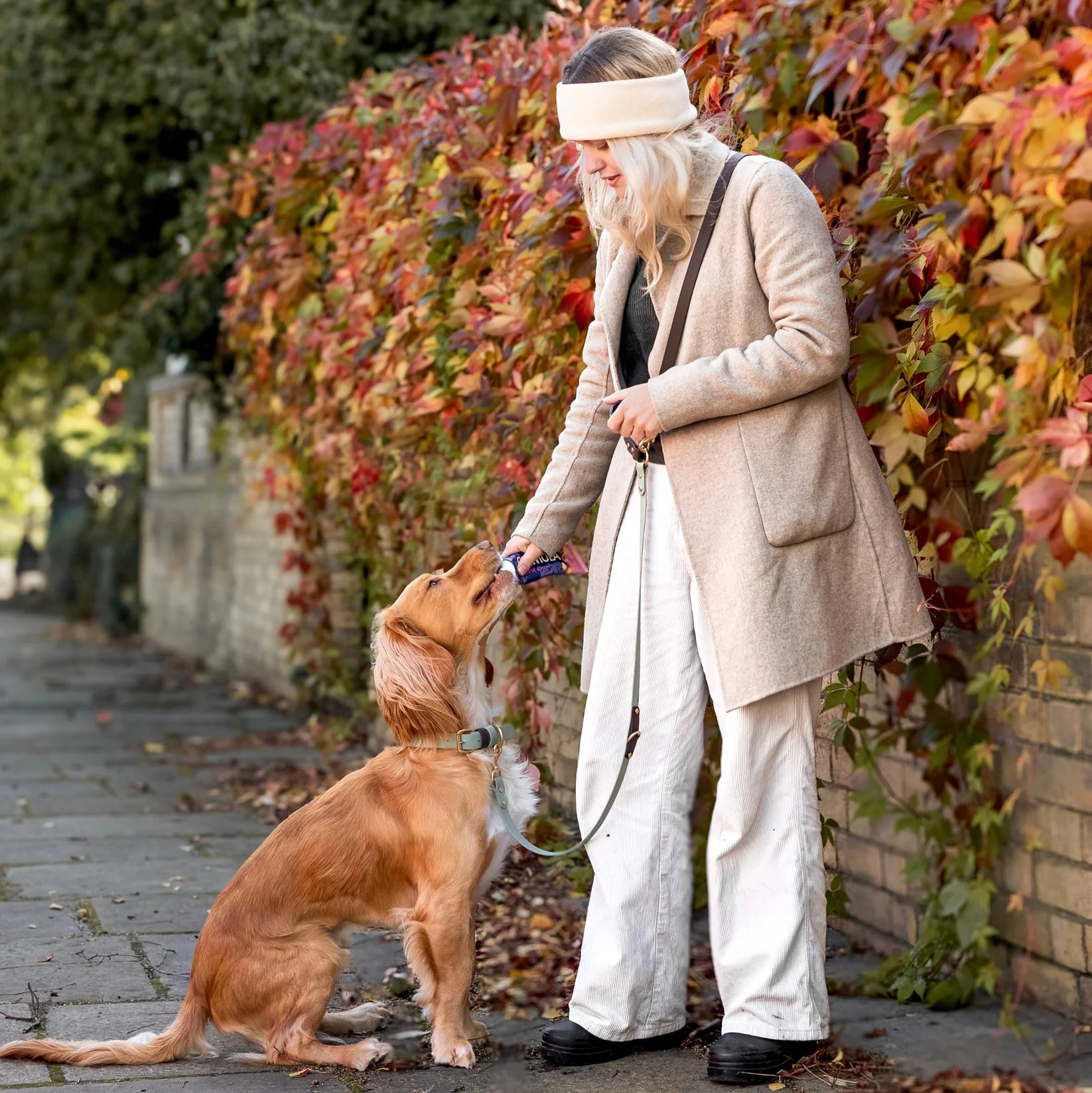 Loki Multiway Dog Lead in Khaki & Brown