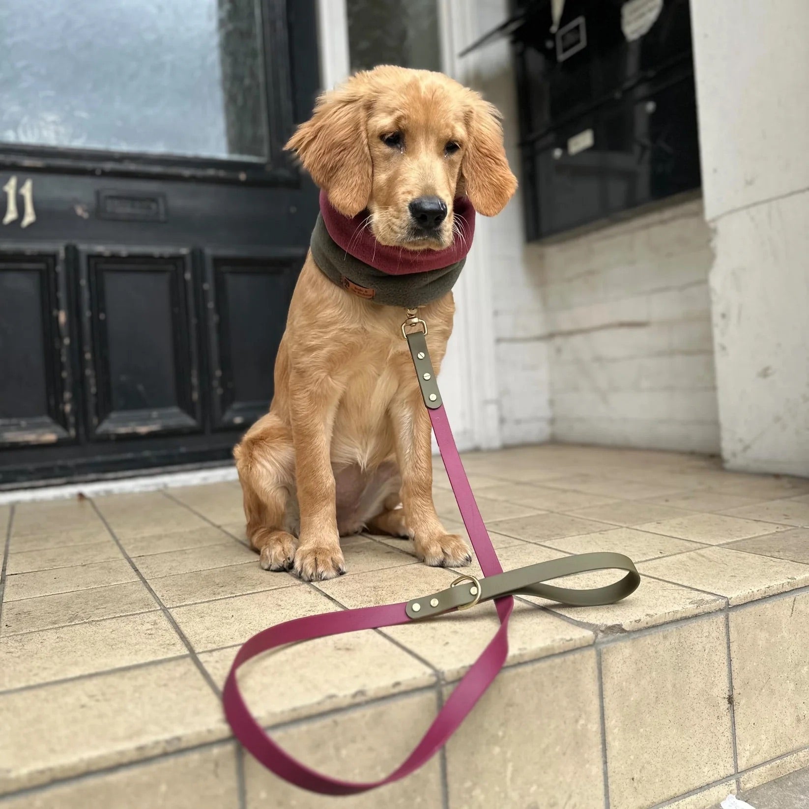 Dottie Wine & Olive Colour Block Lead