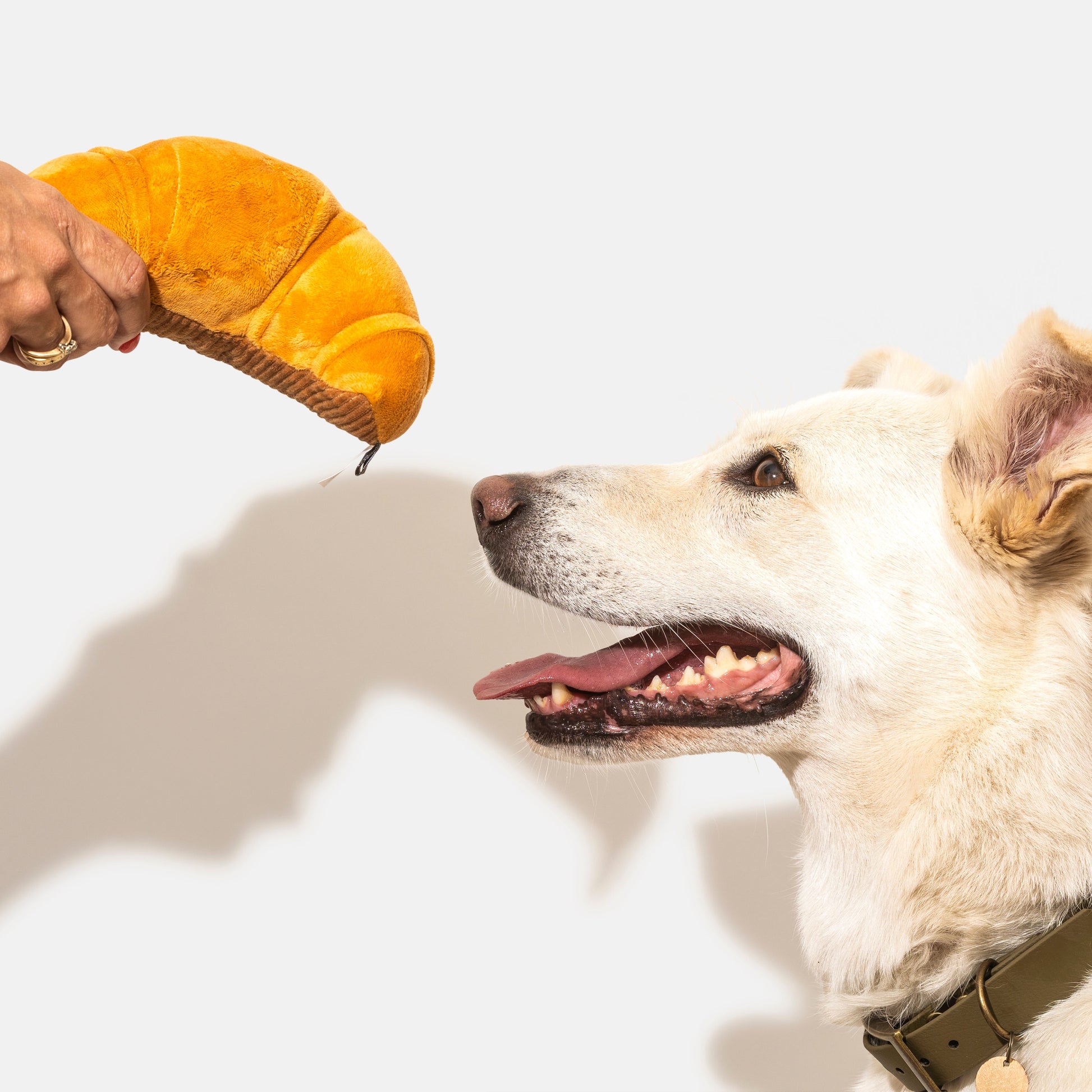 Croissant dog toy