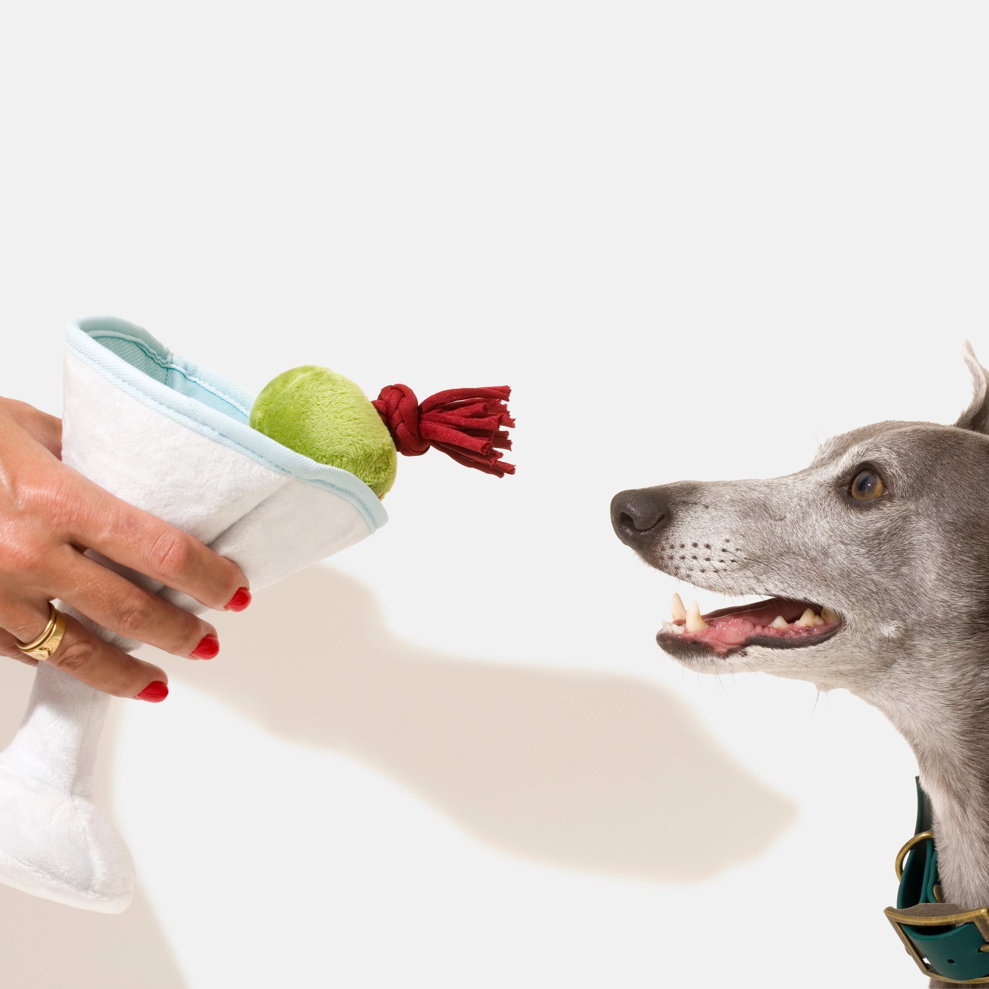 Beau and a pawtini