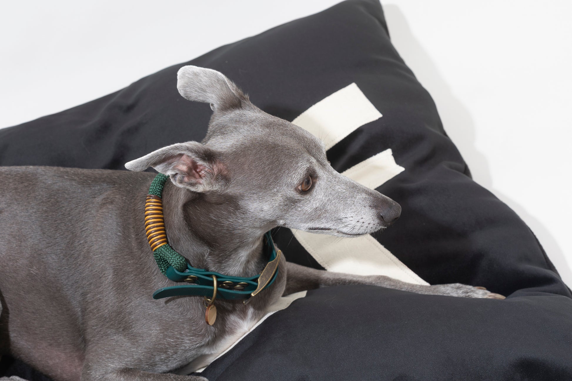 Dog Bed Big WOOF in Black Velvet