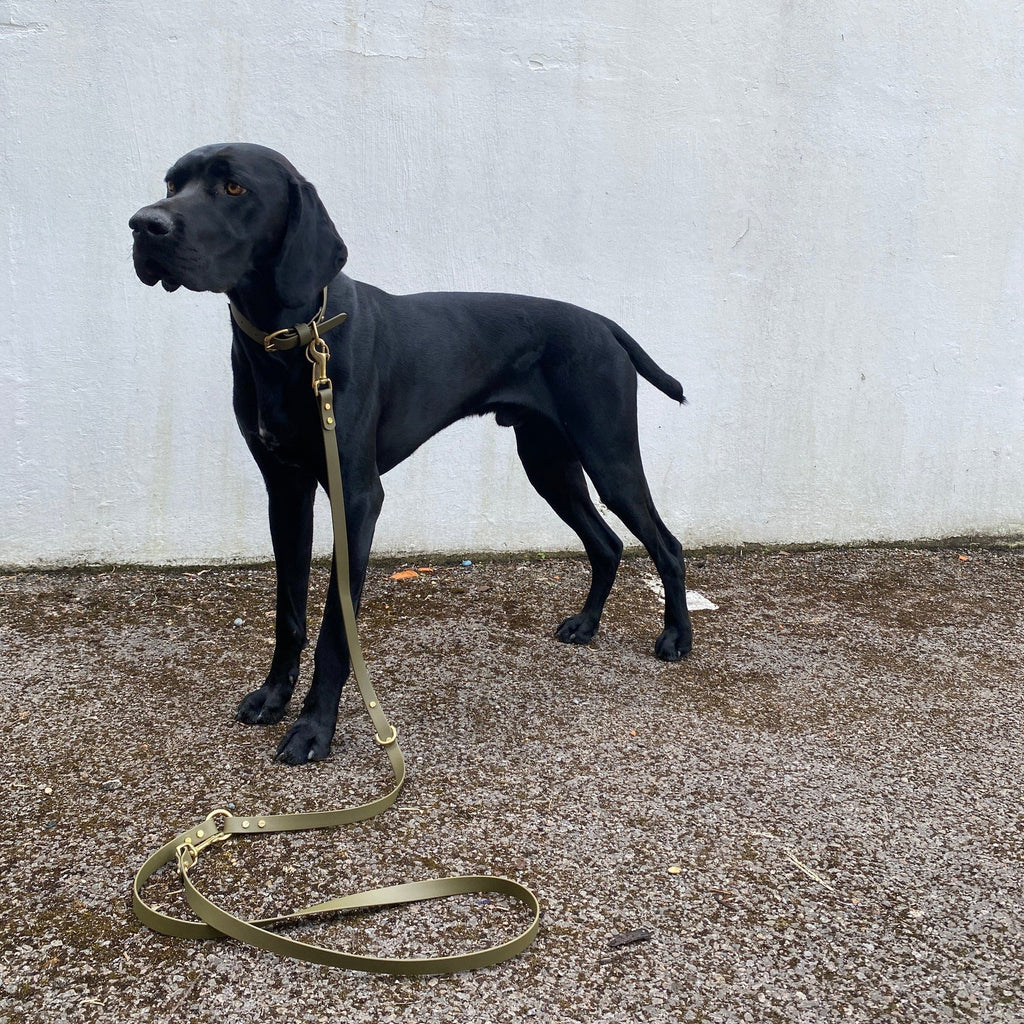 Loki Multiway Dog Lead in Khaki & Brown