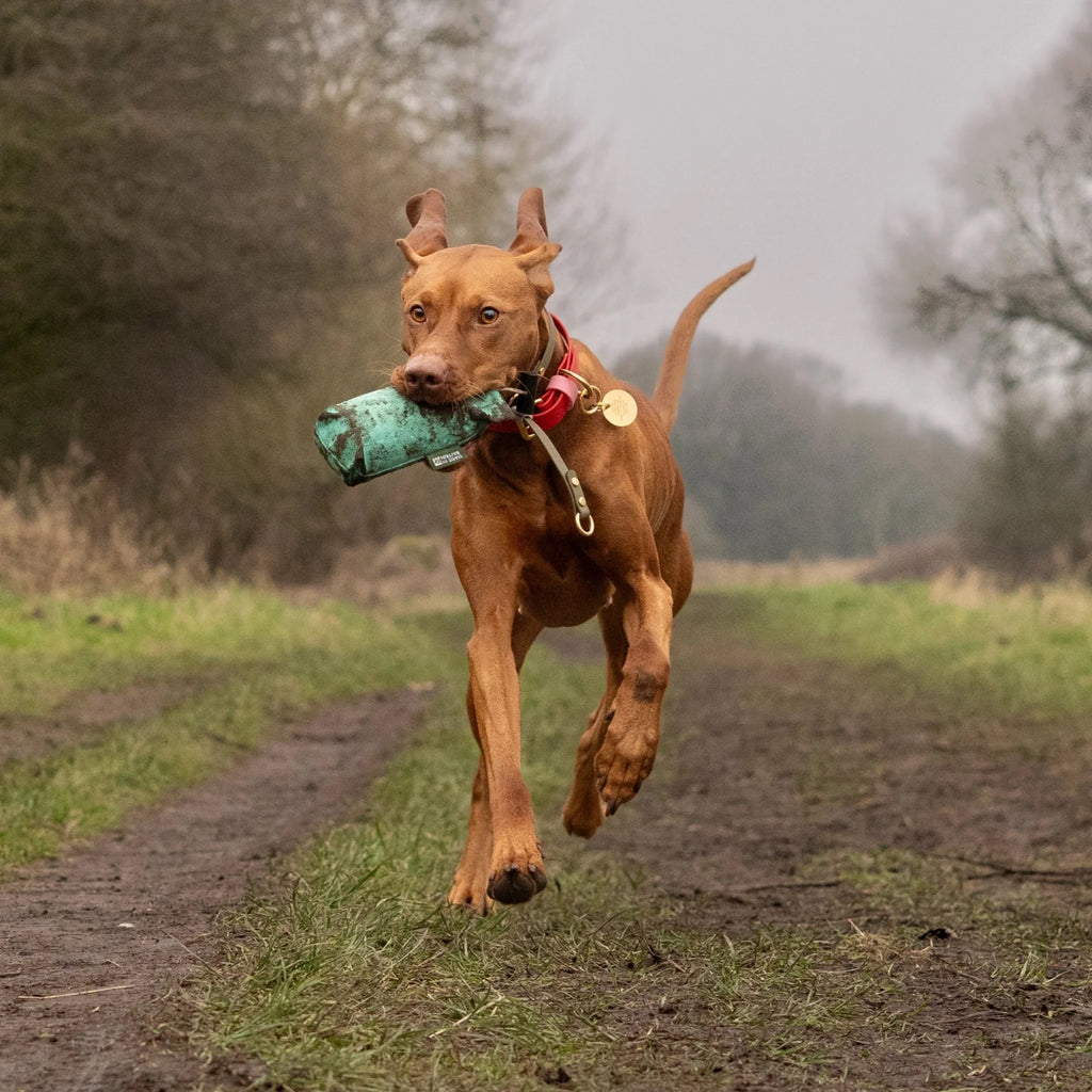 Love Red & Pink Colour Block Collar