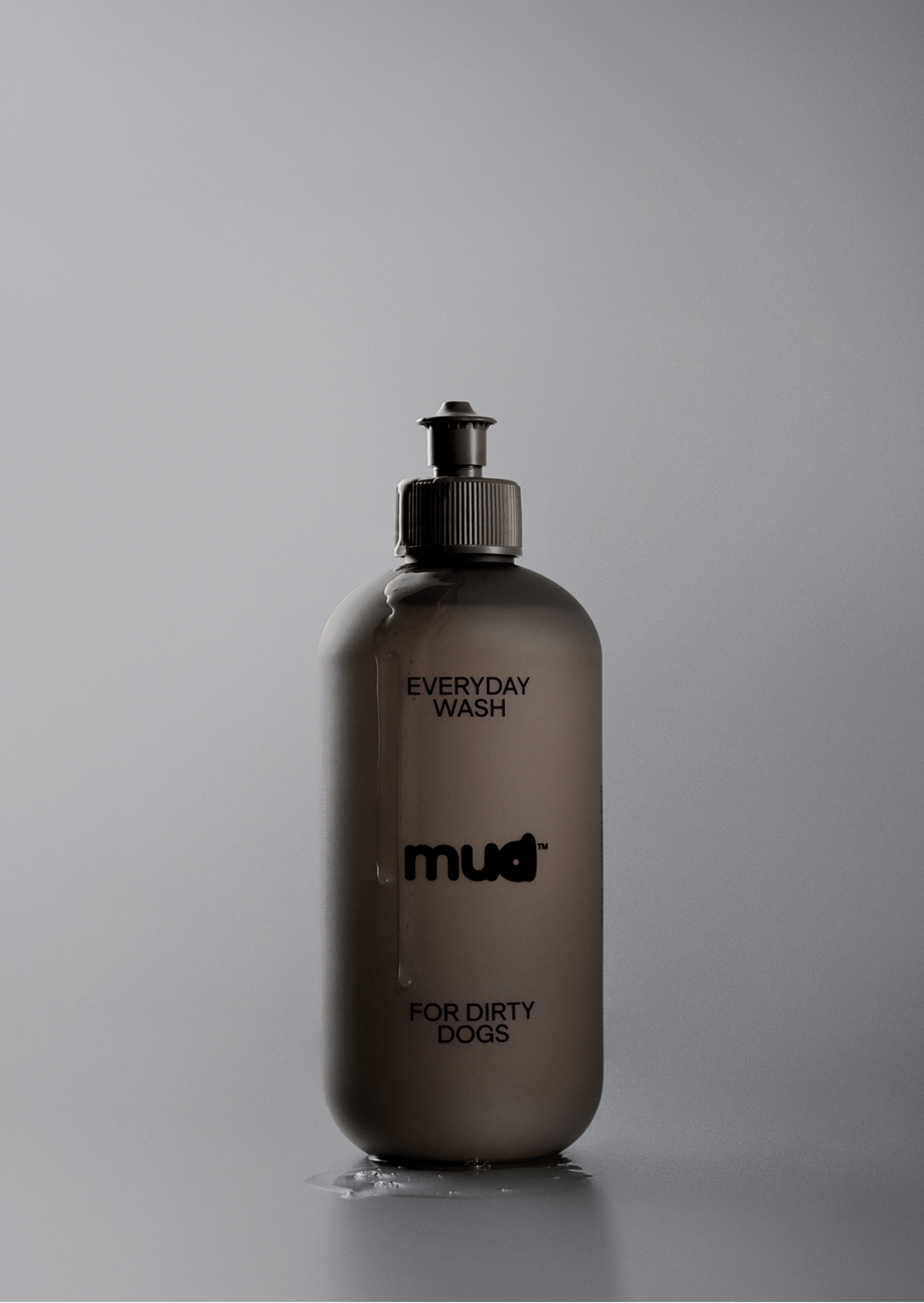 Everyday Wash for Dirty Dogs 400ml