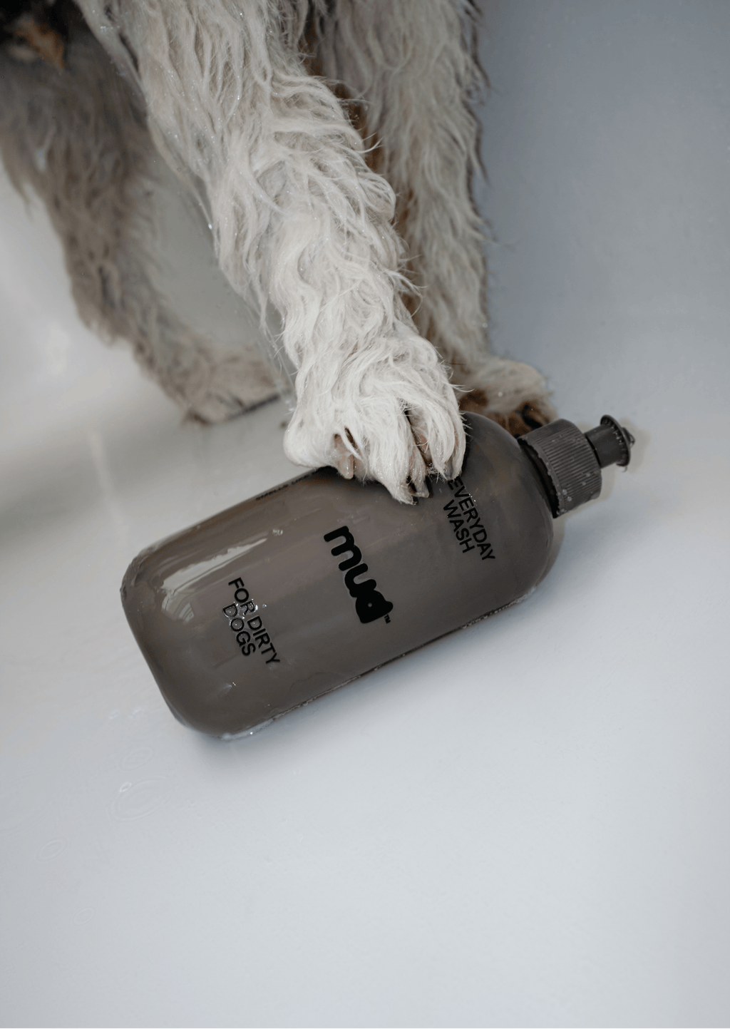Everyday Wash for Dirty Dogs 400ml