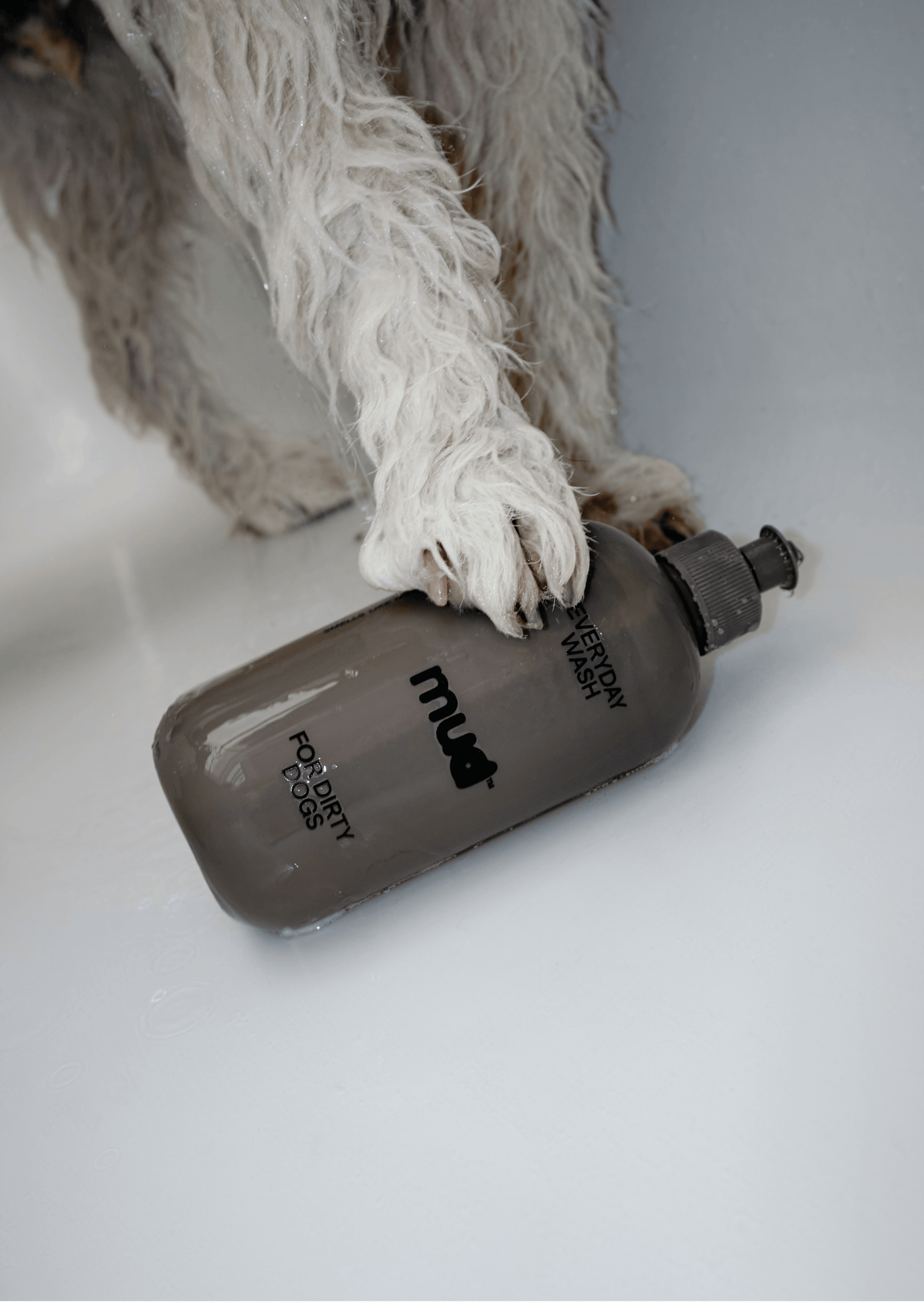Everyday Wash for Dirty Dogs 400ml