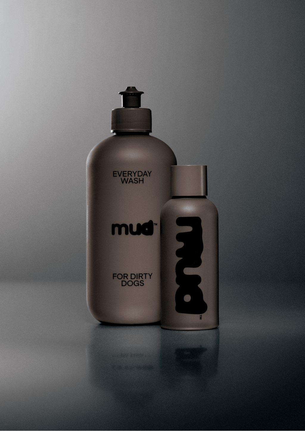 Everyday Wash for Dirty Dogs 400ml