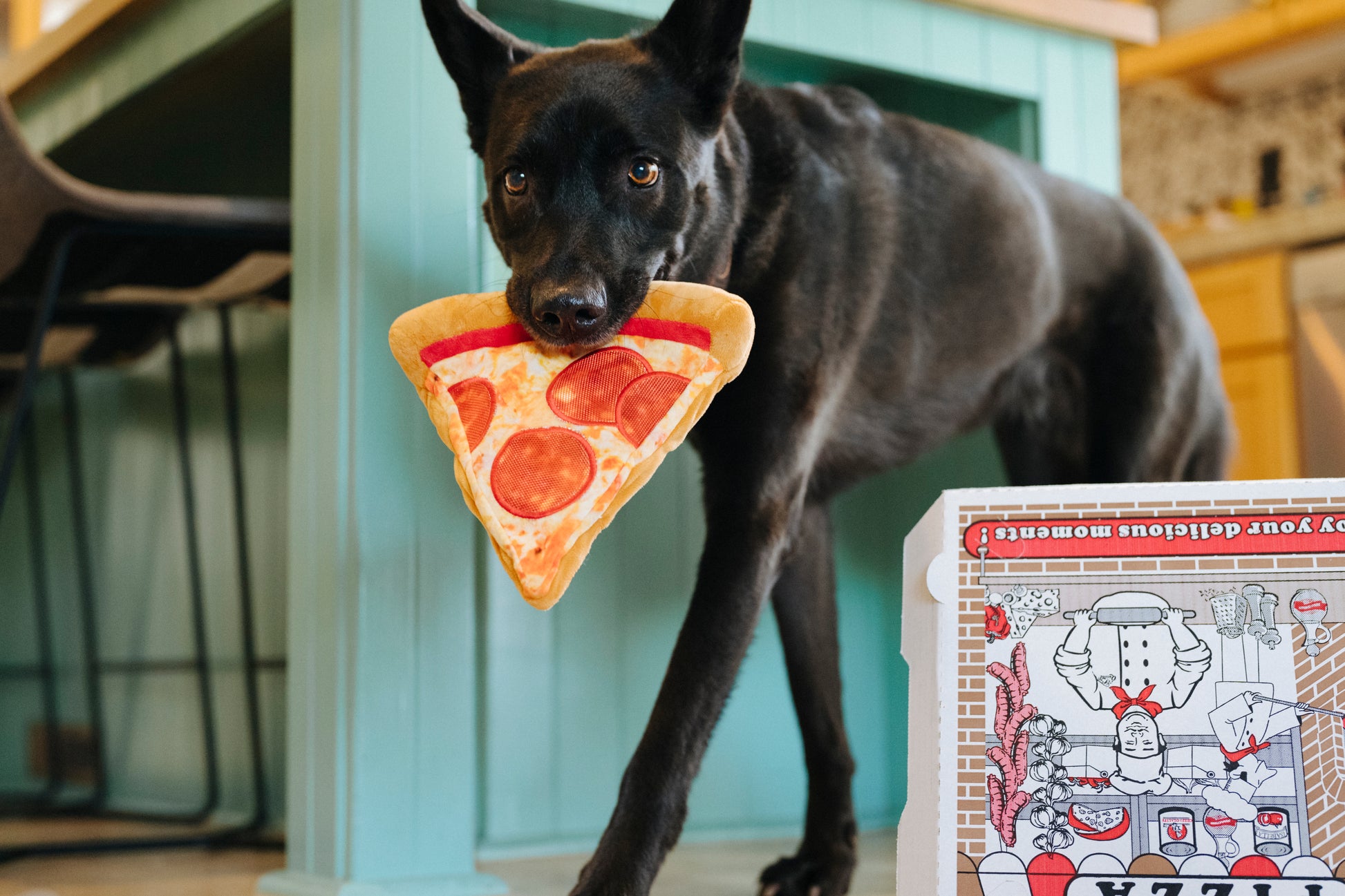 Puppy-roni Pizza dog toy