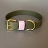 Petra Olive & Pastel Pink Colour Block Collar