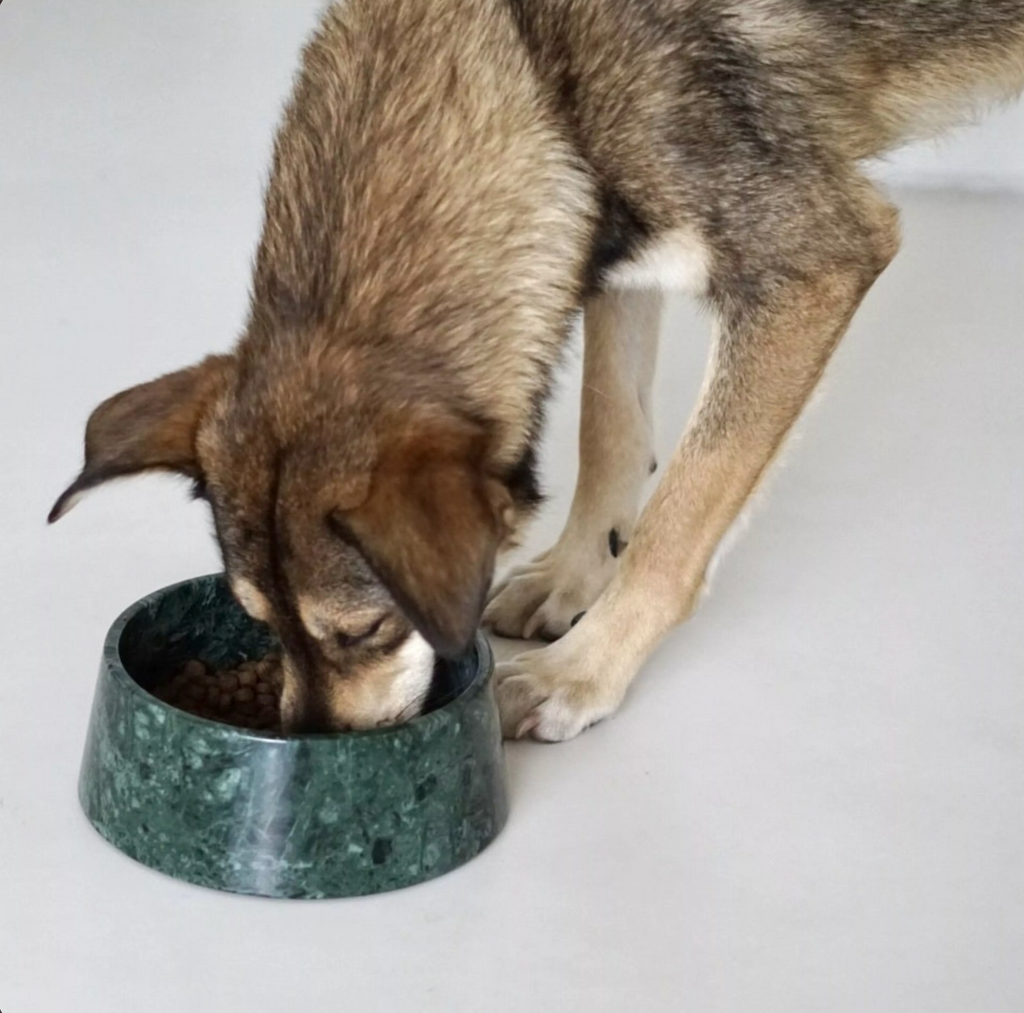 Studio Animaux Marble Dog Bowl Ø23 cm