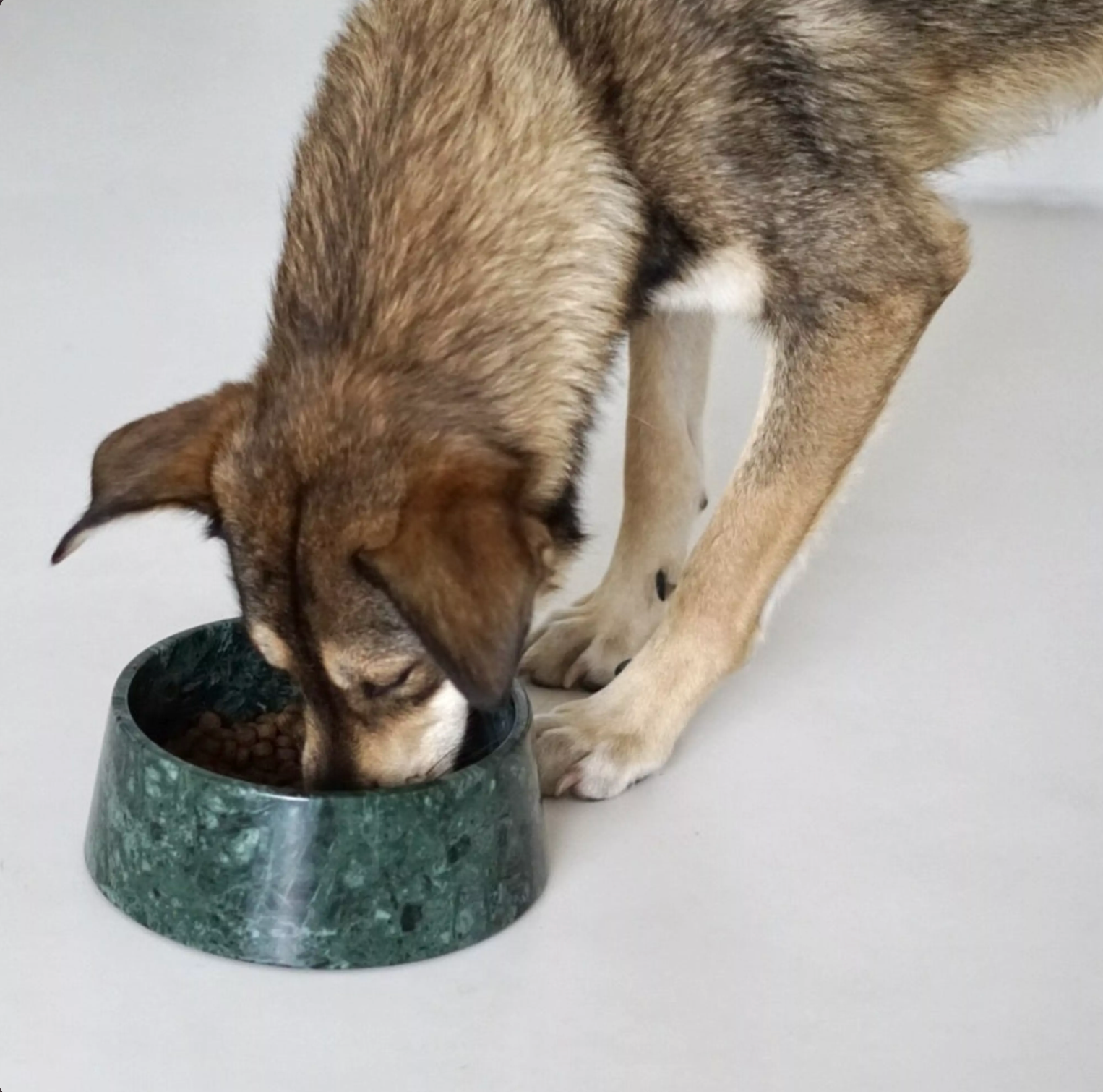 Studio Animaux Marble Dog Bowl Ø23 cm