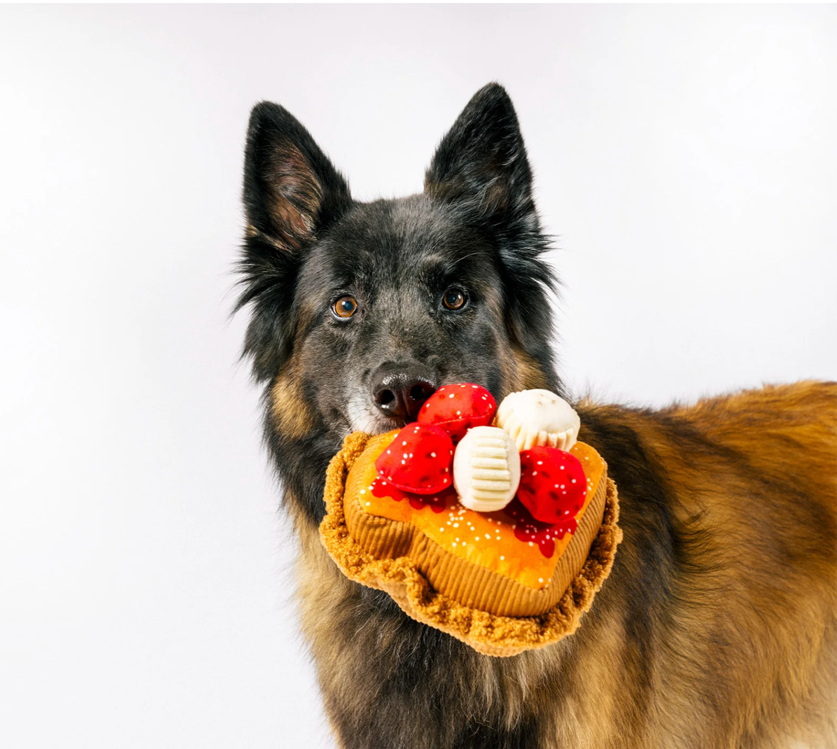 French Toast dog toy