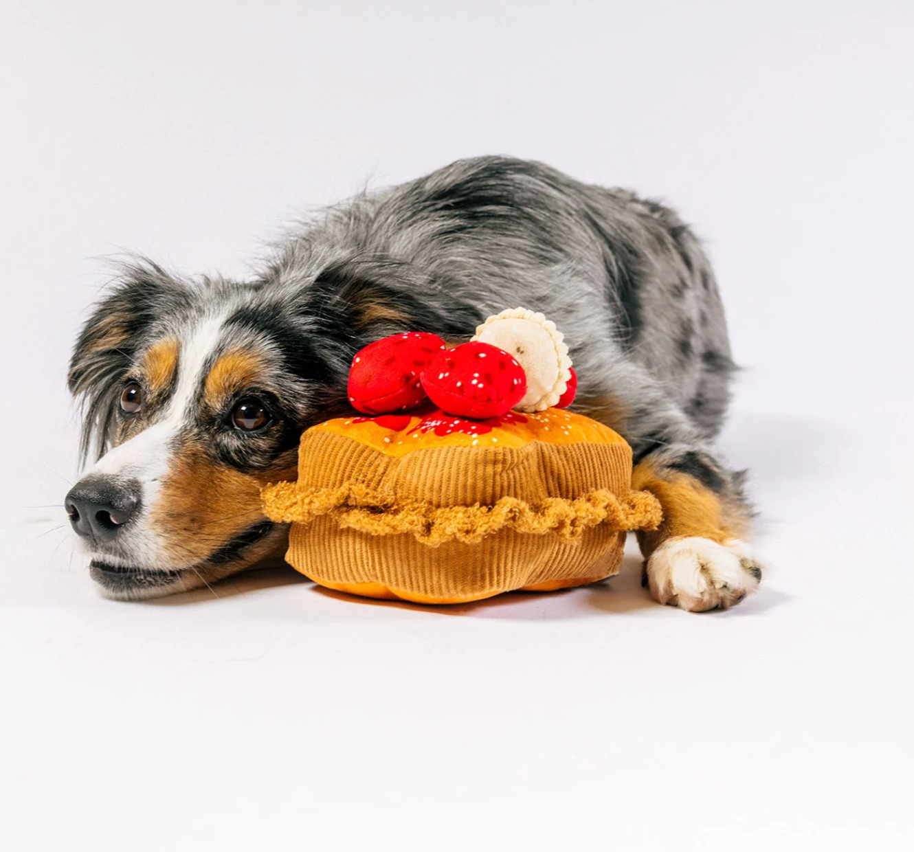 French Toast dog toy
