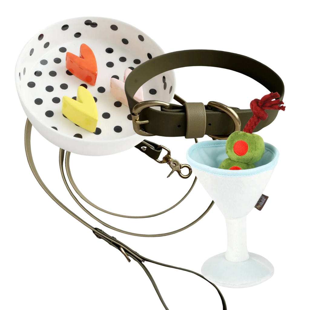 The New Dog Essentials - Full Walk Edit