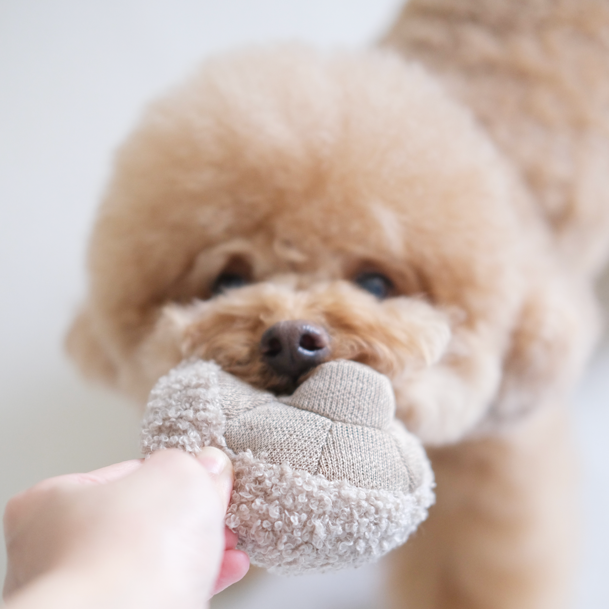 Farmer's market seven enrichment toy set