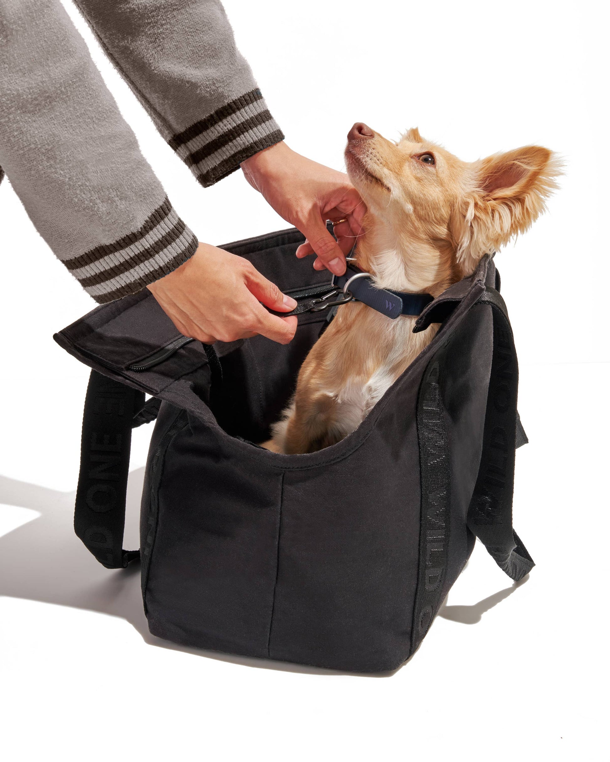 Cotton Everyday Carrier