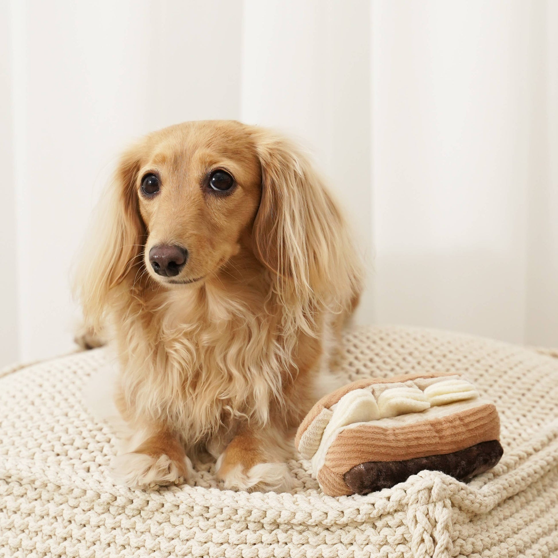 Éclair enrichment dog toy
