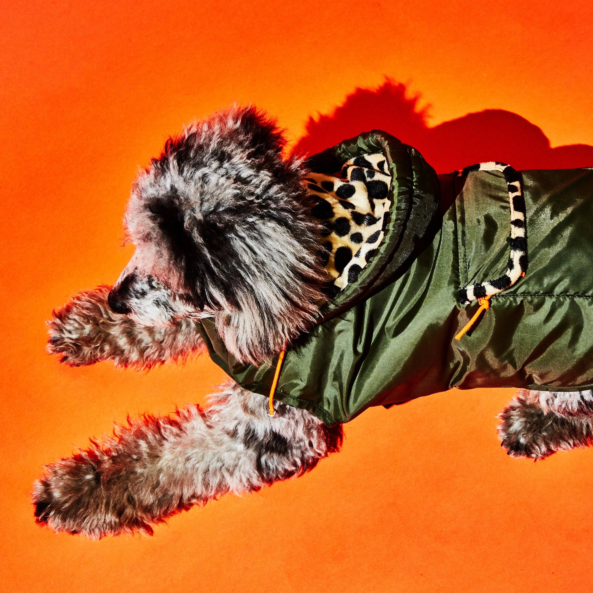 Olive & Animal Print Trim Puffer Jacket