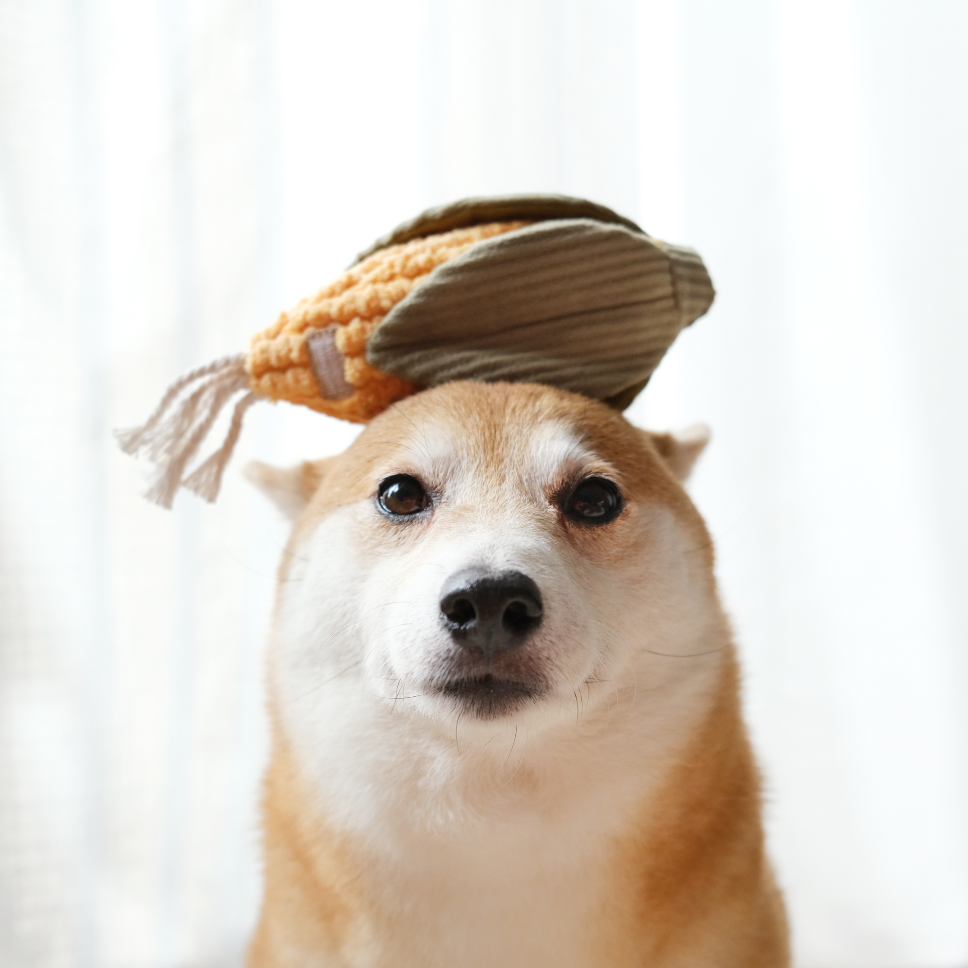 Farmer's market seven enrichment toy set