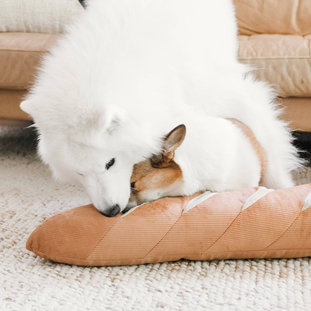 Giant Baguette enrichment dog toy
