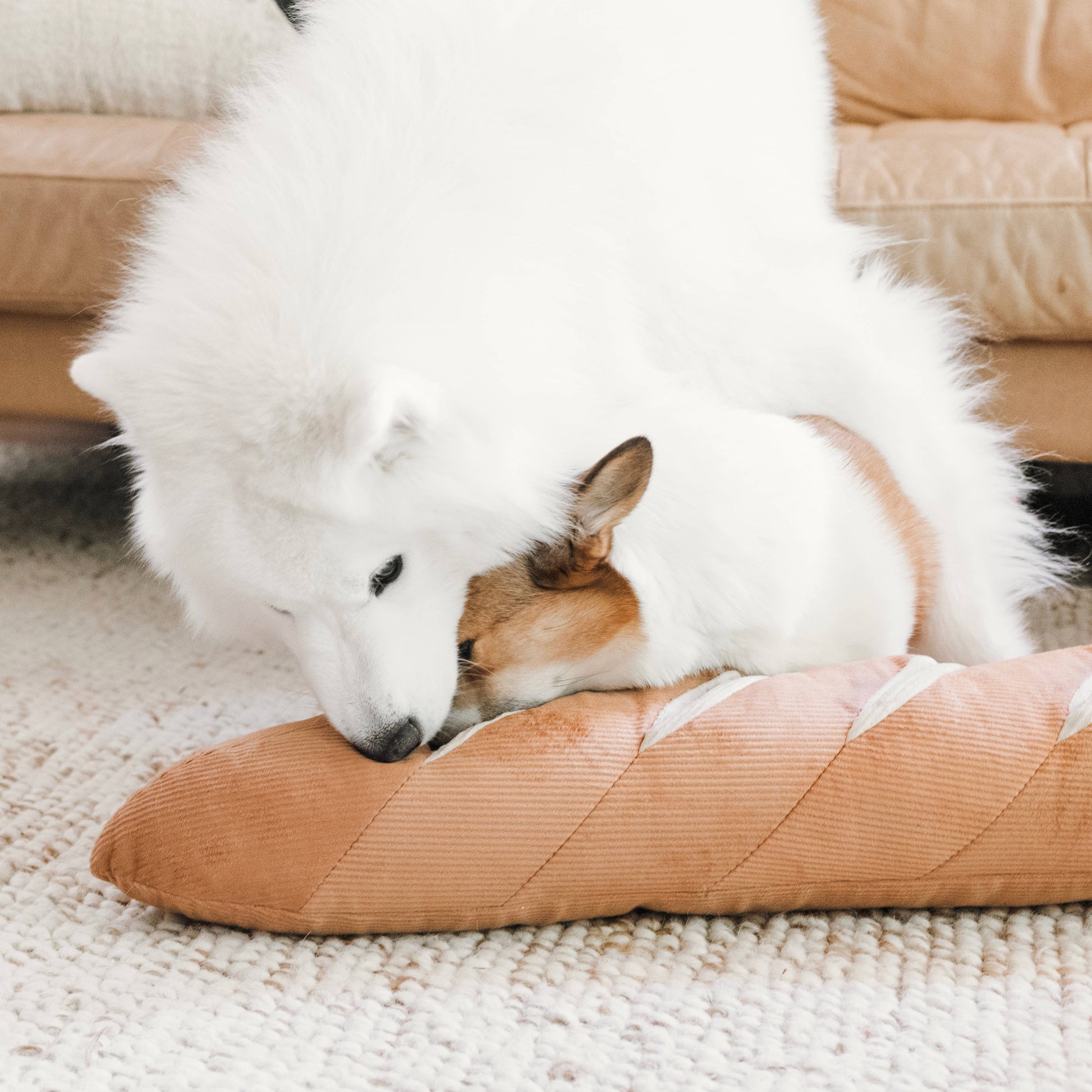 Giant Baguette enrichment dog toy