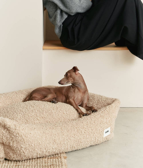 Beige Sheepdog Bed, Snozy