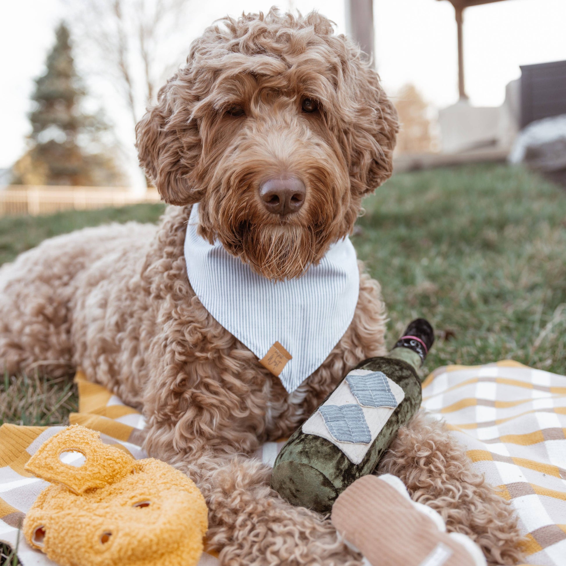 Merlot enrichment dog toy
