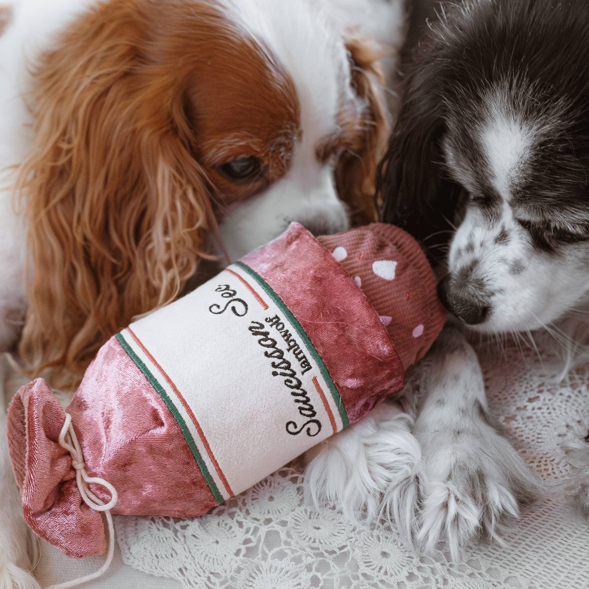 Saucisson Enrichment Dog Toy