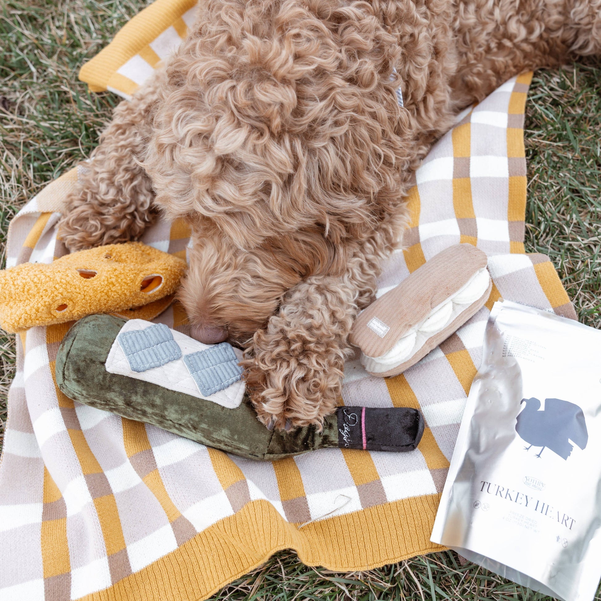 Merlot enrichment dog toy