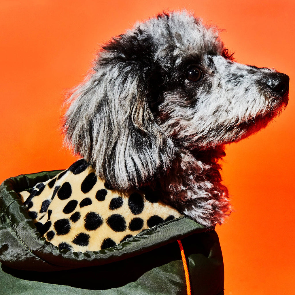 Olive & Animal Print Trim Puffer Jacket