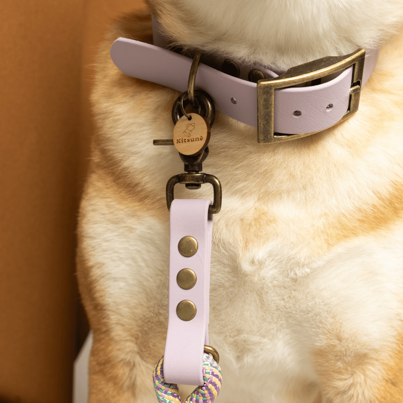 Kitsunē BioThane® Dog Collar