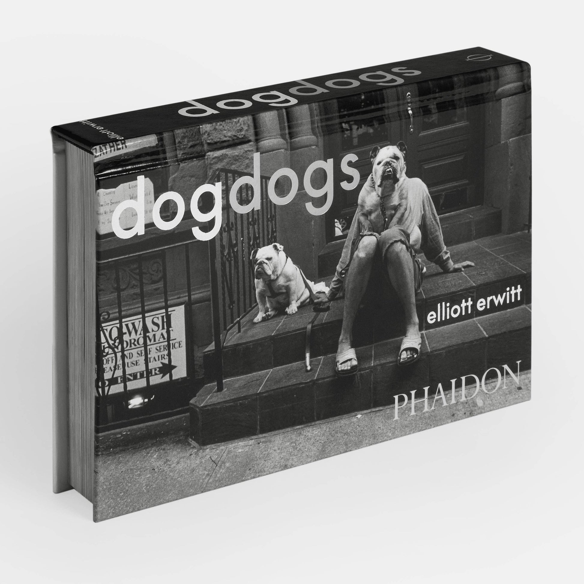 DogsDogs by Elliott Erwitt