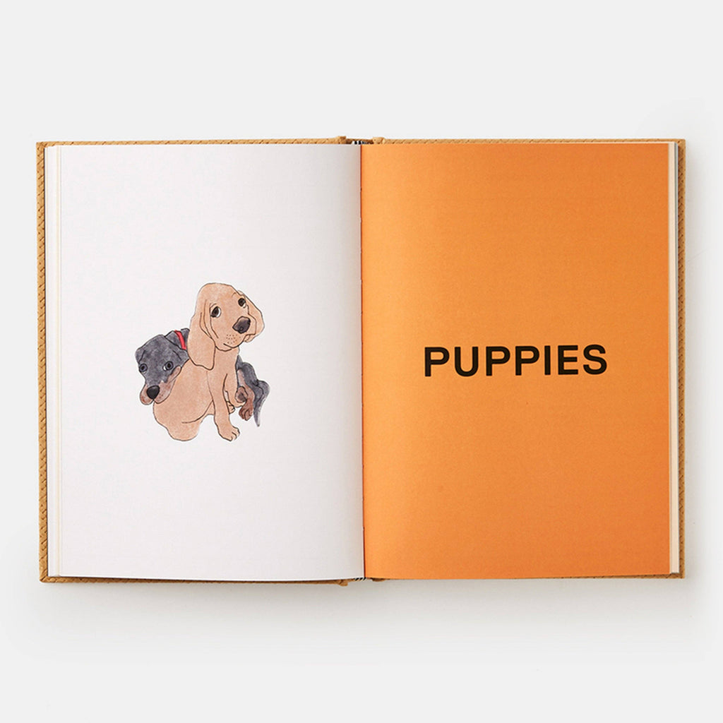 Feed Me: 50 Home Cooked Meals for your Dog by Liviana Prola