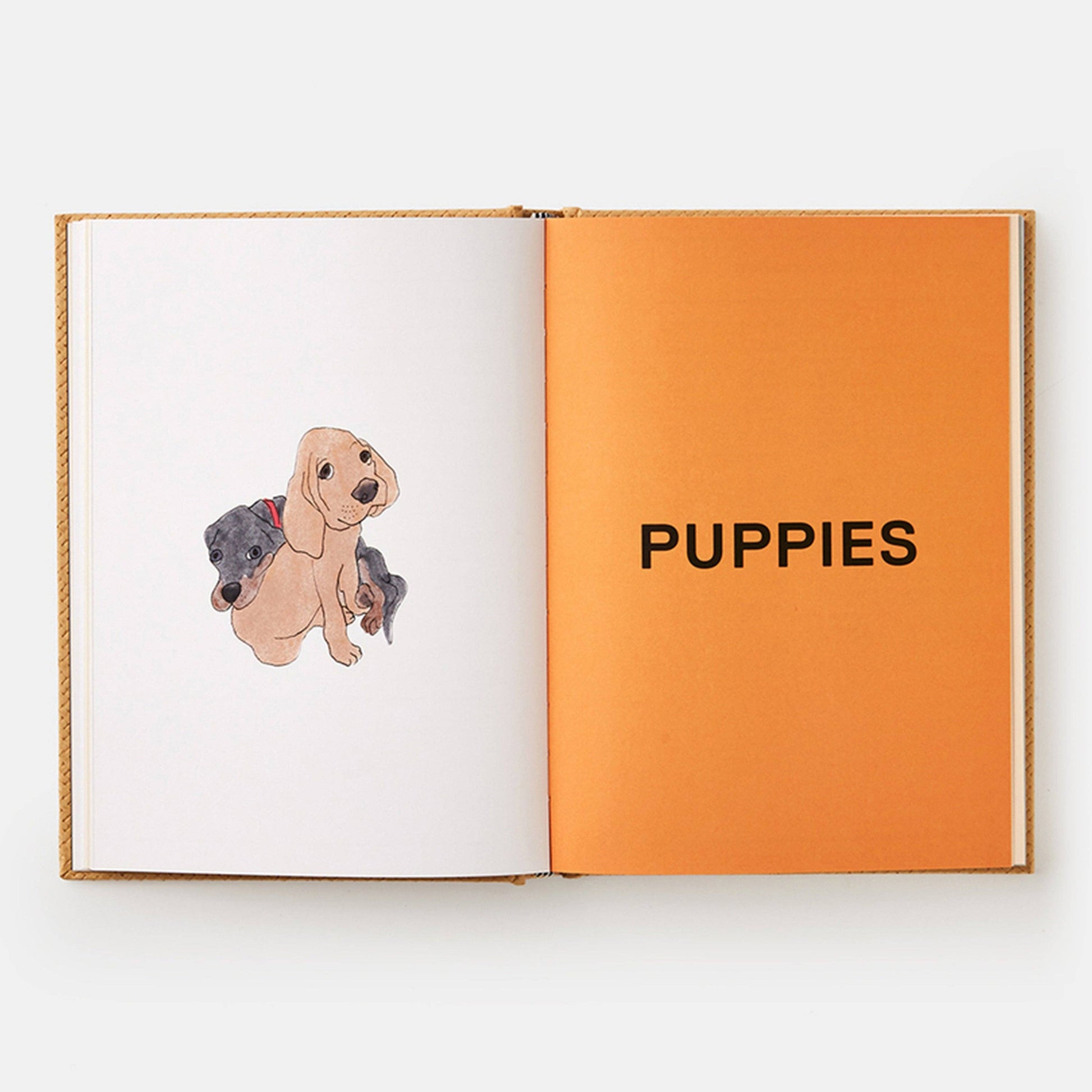 Feed Me: 50 Home Cooked Meals for your Dog by Liviana Prola