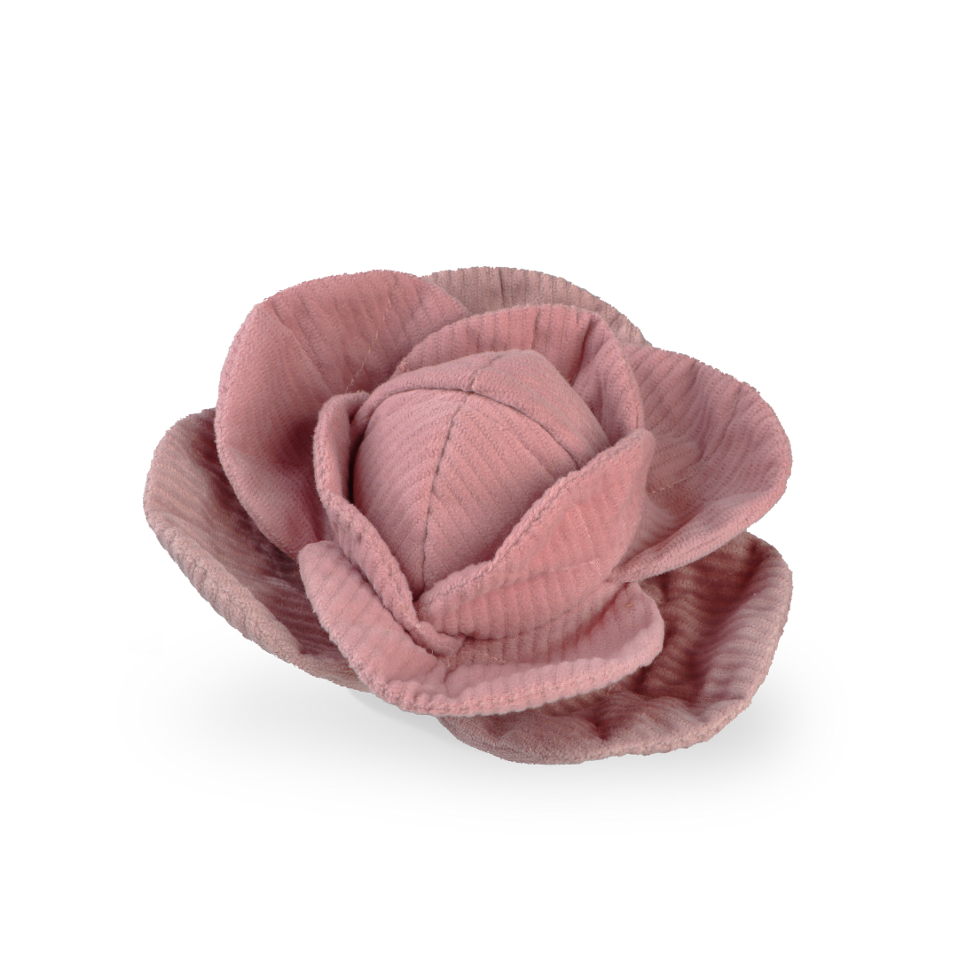 Cabbage Pop enrichment dog toy