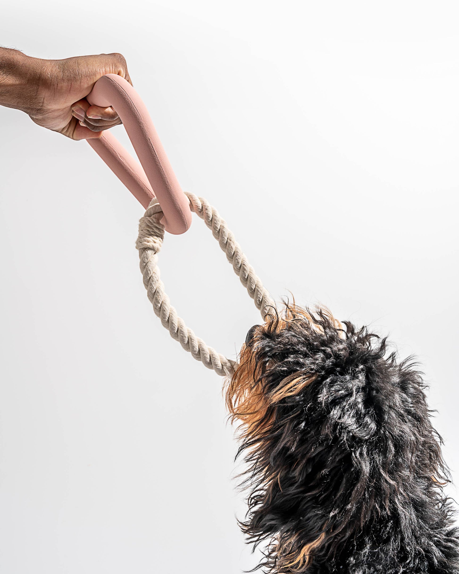 Triangle Tug Dog Chew Toy