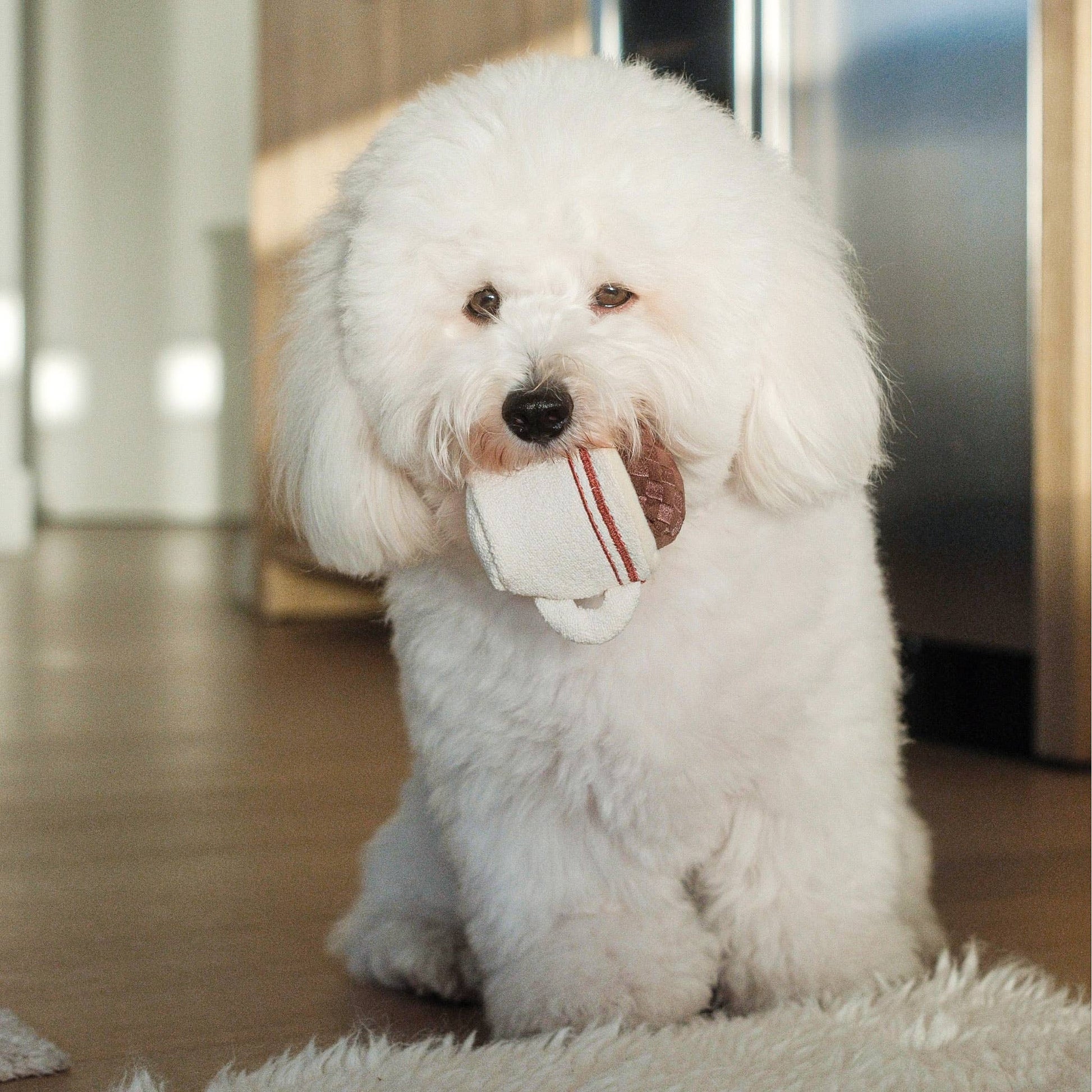 Espresso Pop Enrichment Dog Toy