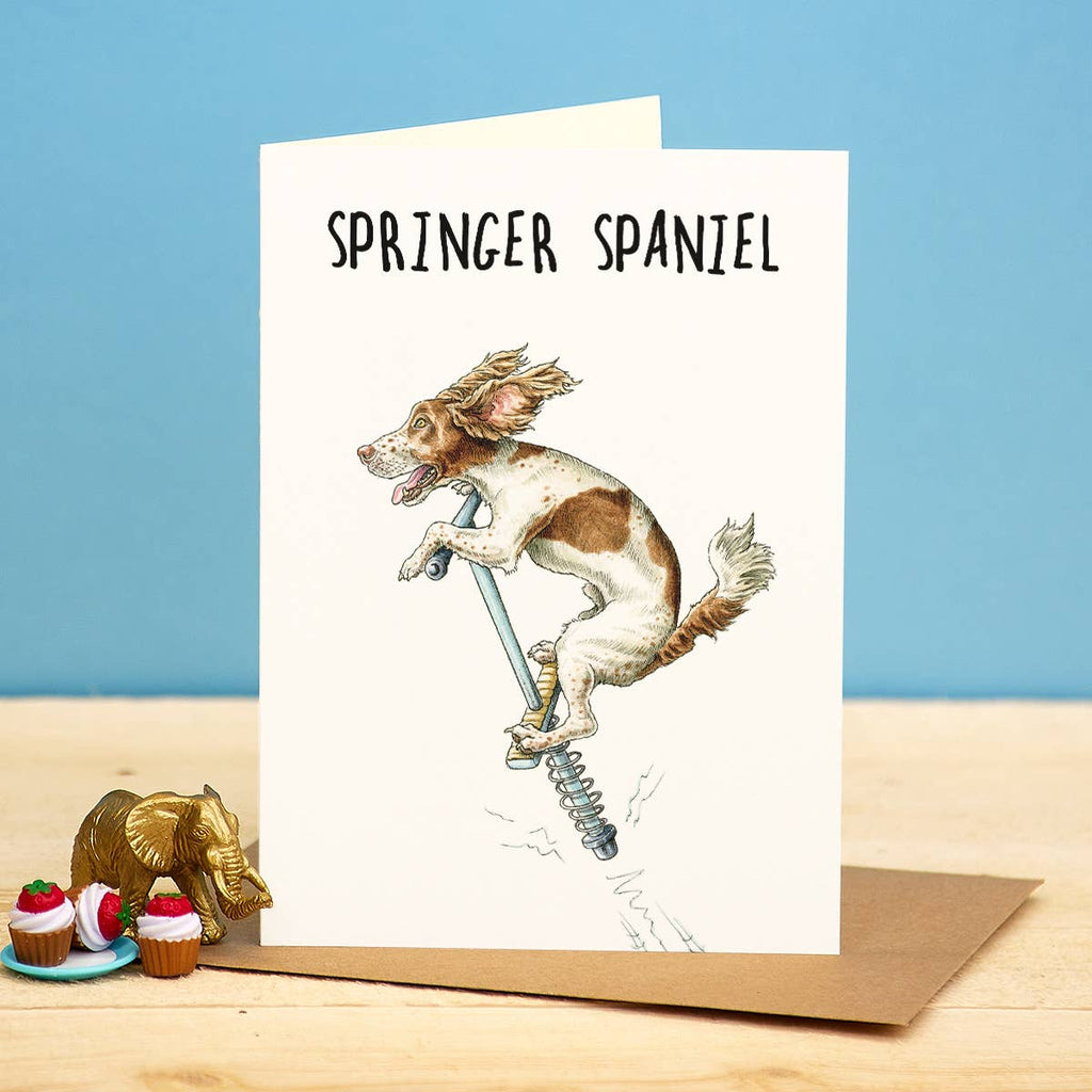 Springer Spaniel Card - Everyday Card - Funny