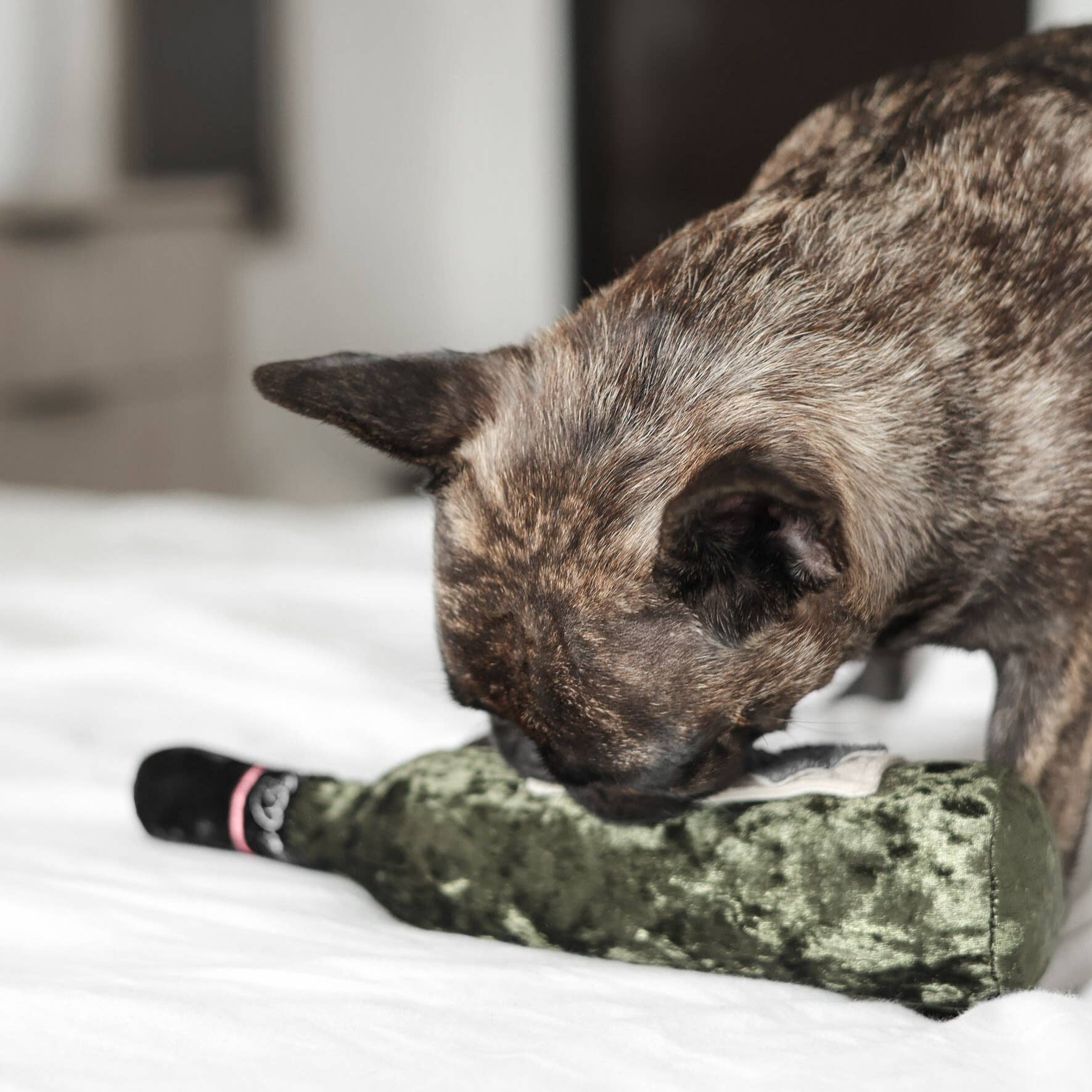 Merlot enrichment dog toy