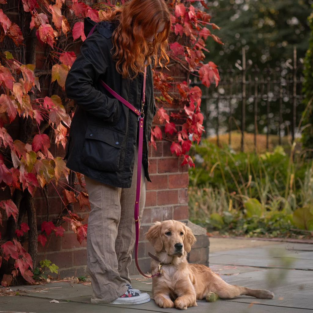 Loki Multiway Dog Lead in Khaki & Brown