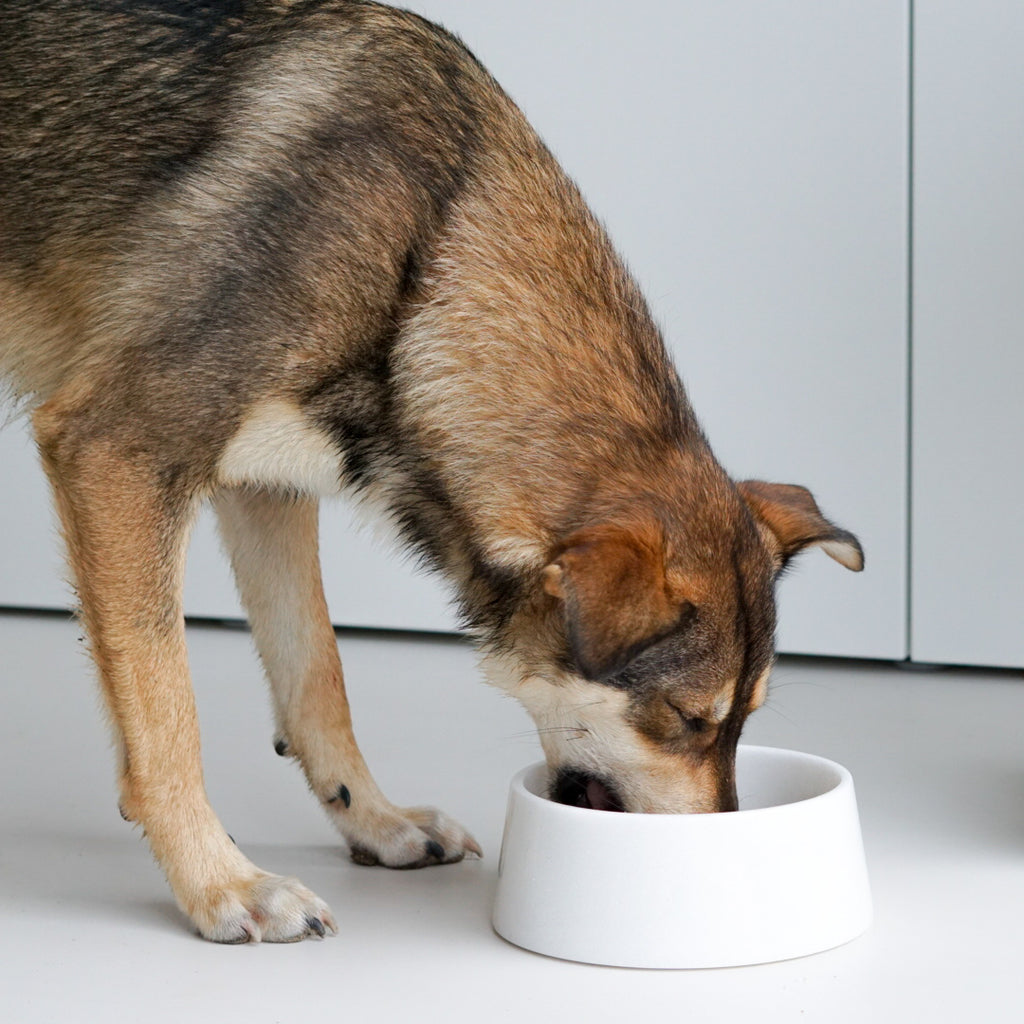 Studio Animaux Marble Dog Bowl Ø23 cm