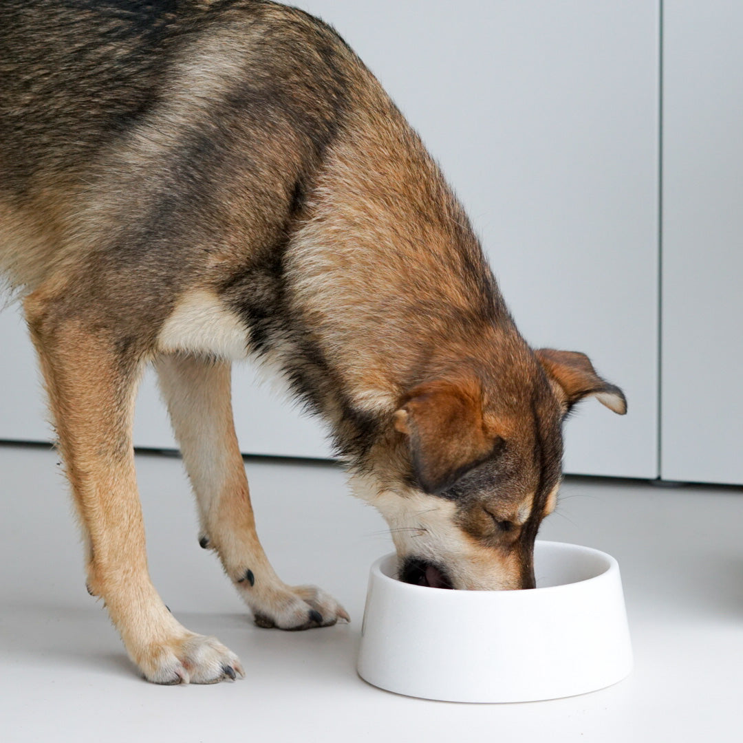 Studio Animaux Marble Dog Bowl Ø23 cm