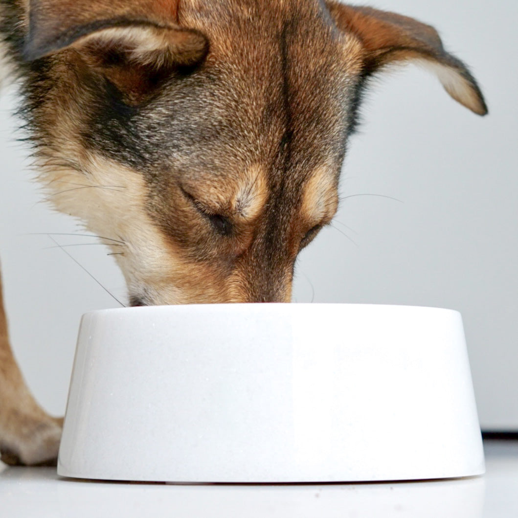 Studio Animaux Marble Dog Bowl Ø23 cm