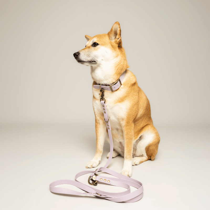 Kitsunē Multiposition dog leash - BioThane®