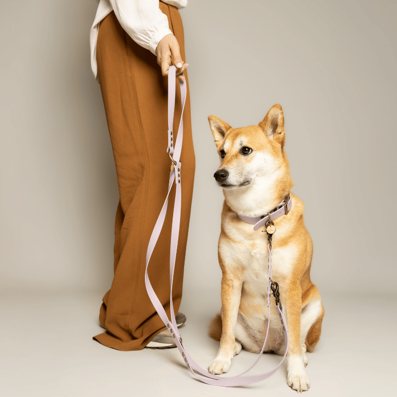 Kitsunē Multiposition dog leash - BioThane®