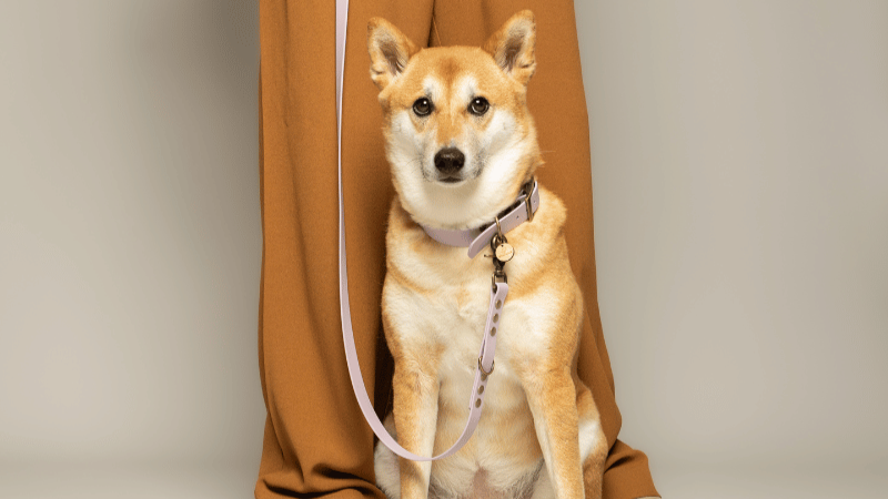 Kitsunē Multiposition dog leash - BioThane®