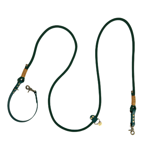 Kitsuné Multiposition leash paracord and biothane