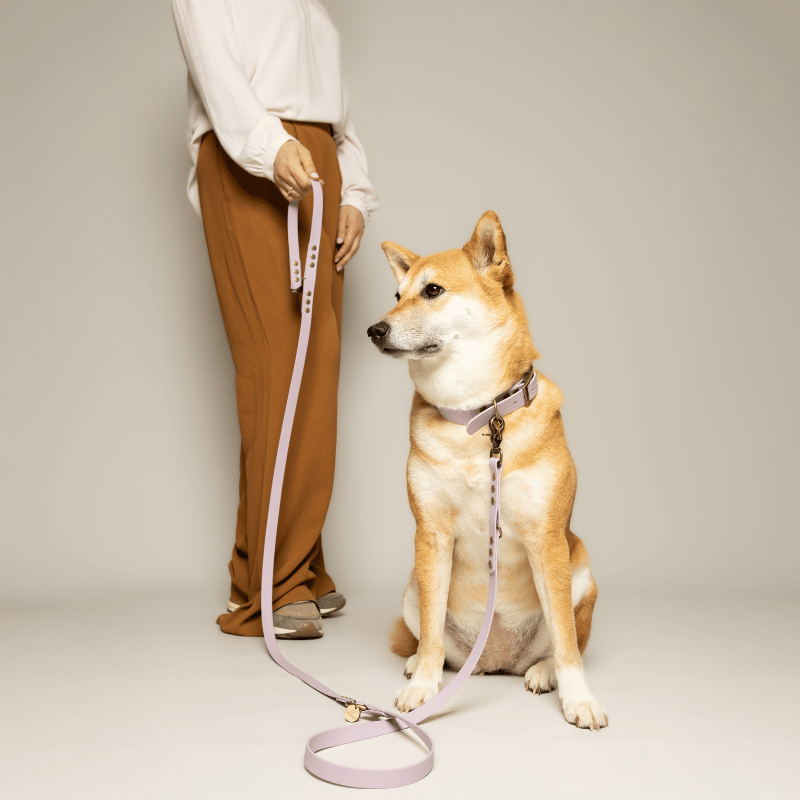 Kitsunē Multiposition dog leash - BioThane®