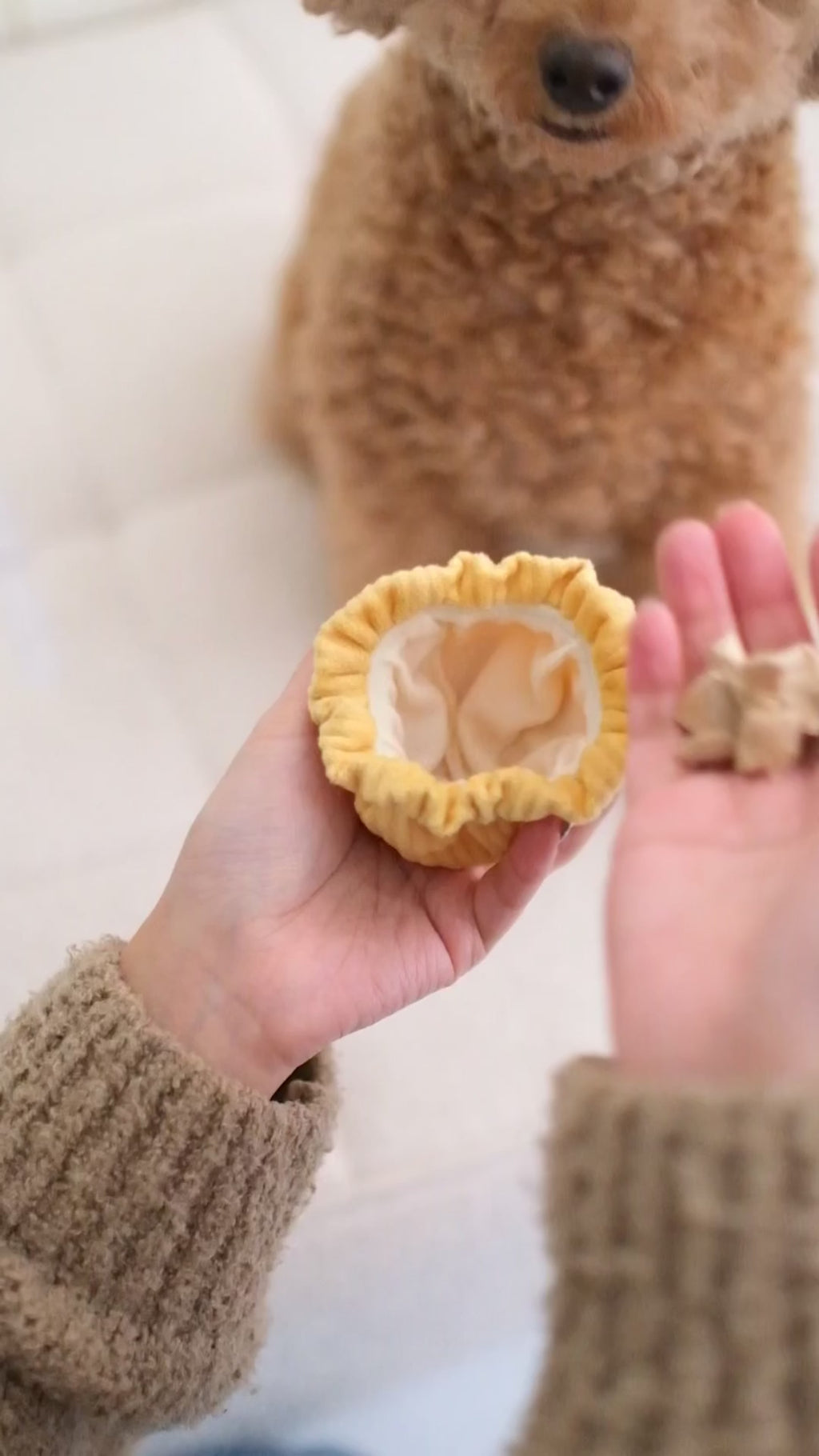 Dim Sum Pop enrichment dog toy