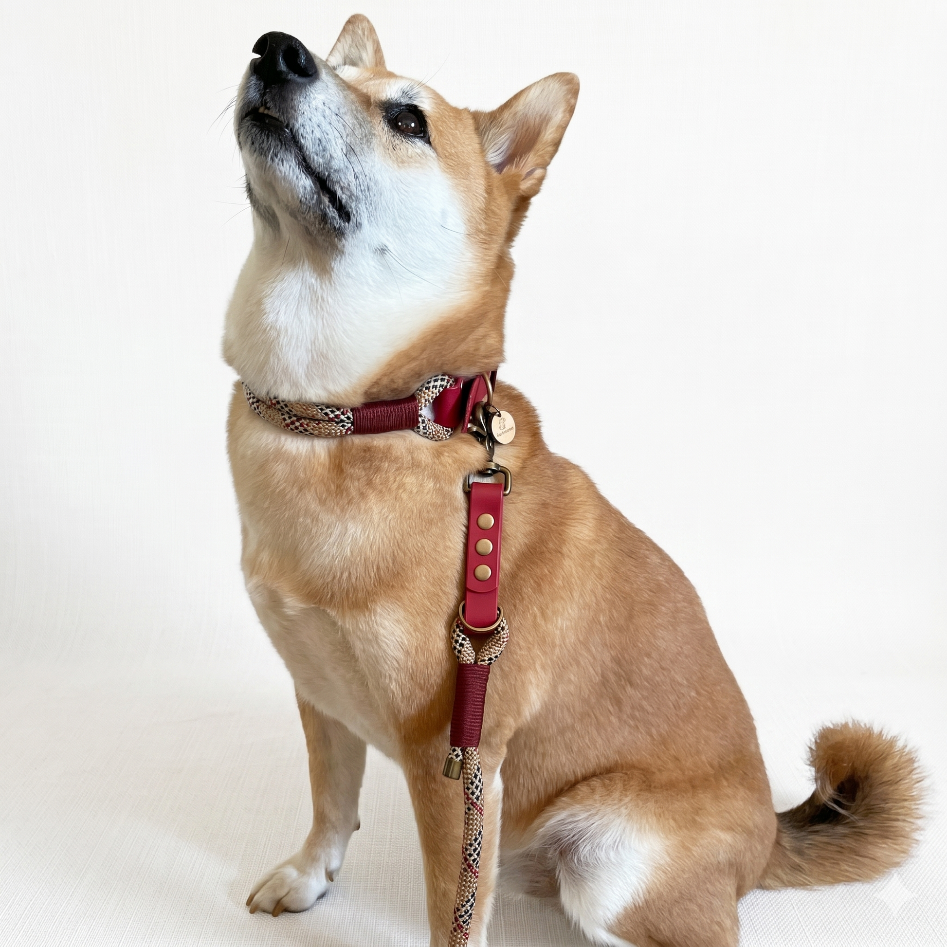 Kitsuné Tartan Red Multiposition Paracord & Biothane Lead